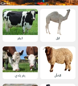ملحمة 1